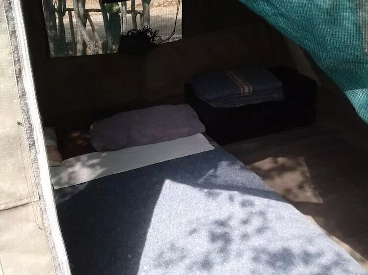 Hotelli Warthogs Safari Camp