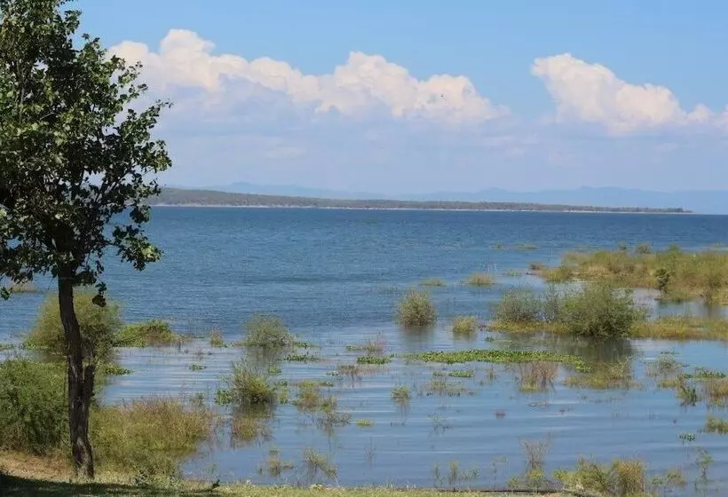 Hotelli Warthogs Safari Camp