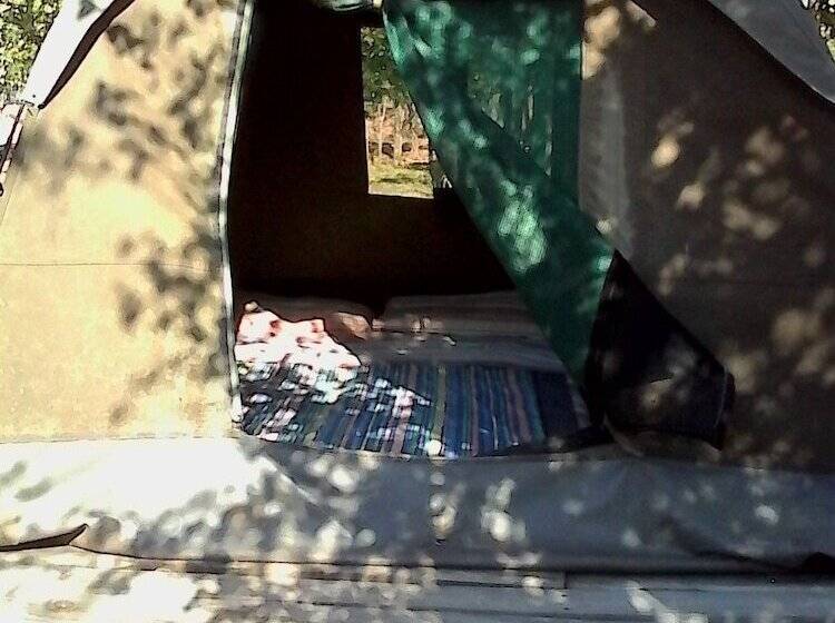 هتل Warthogs Safari Camp