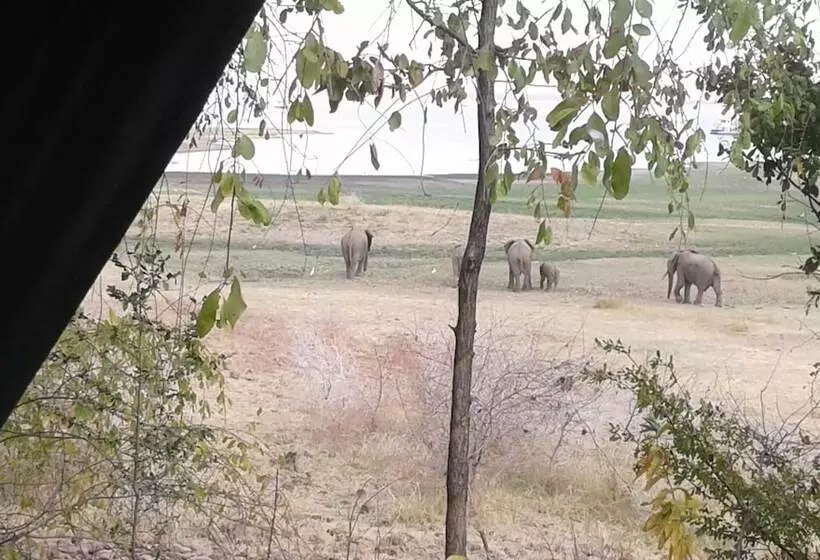 هتل Warthogs Safari Camp