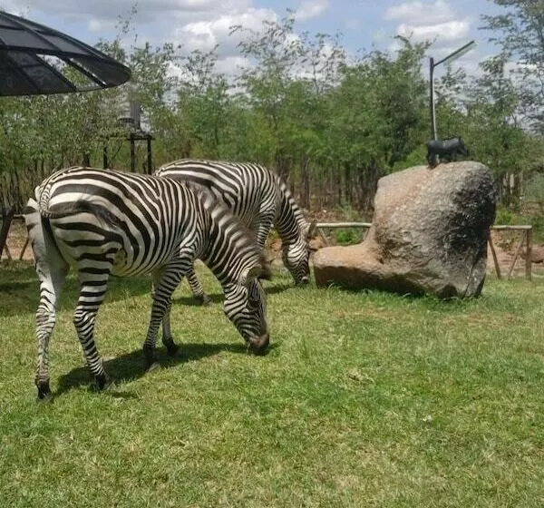 هتل Warthogs Safari Camp