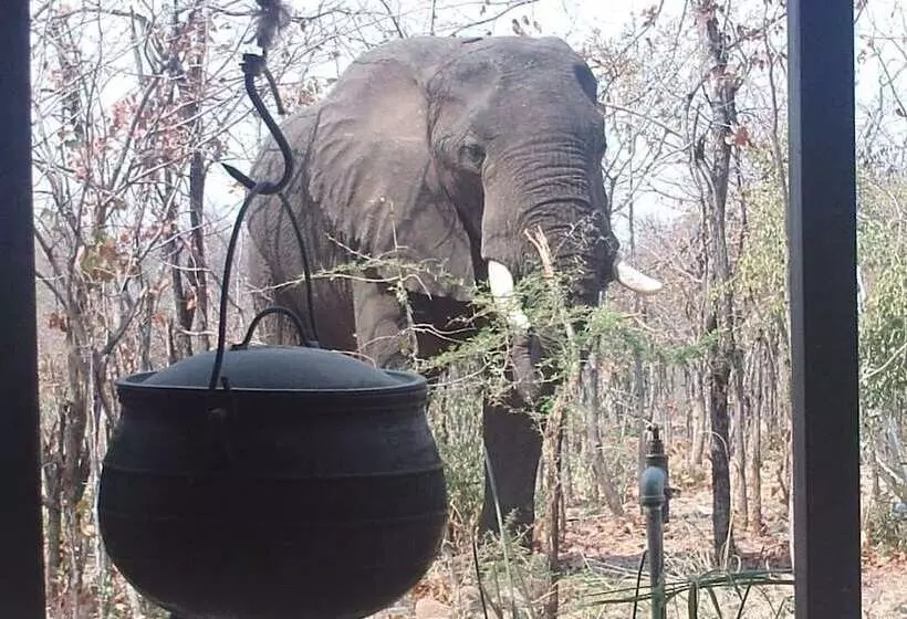 هتل Warthogs Safari Camp