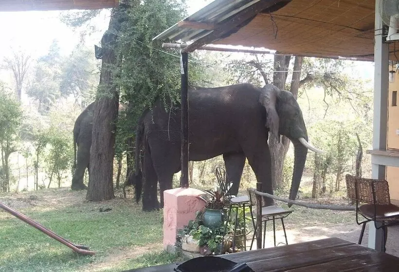 هتل Warthogs Safari Camp
