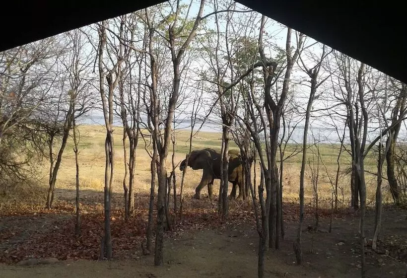 هتل Warthogs Safari Camp