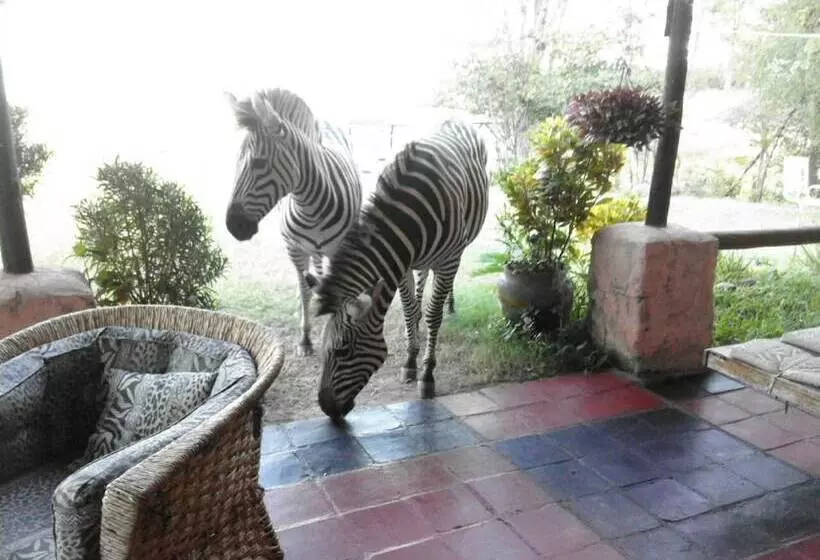 هتل Warthogs Safari Camp