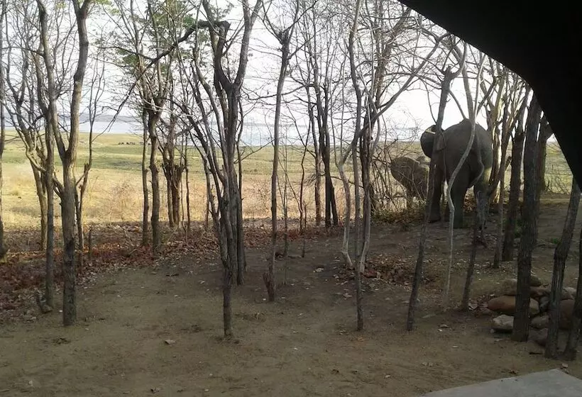 هتل Warthogs Safari Camp