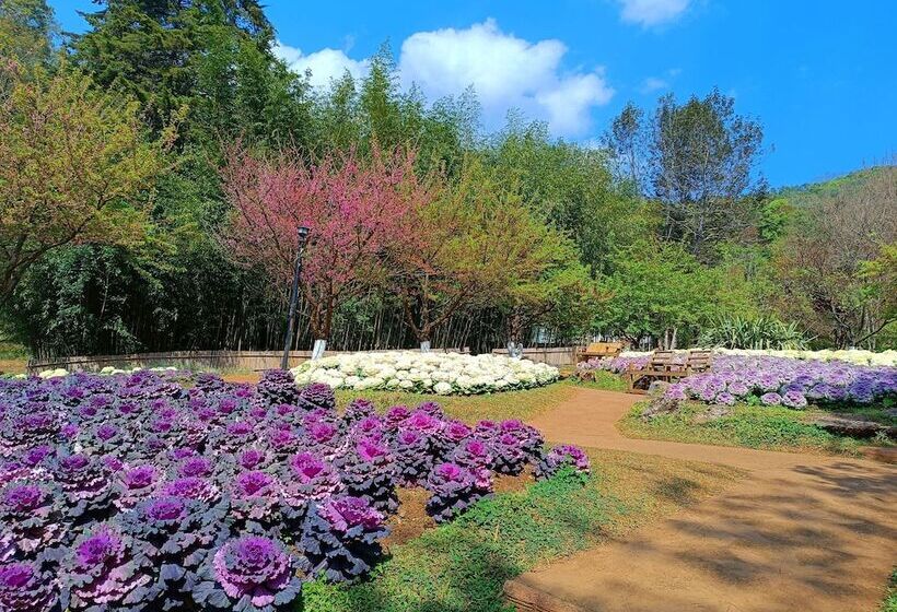 Panzió Baan Aingdoi Homestay