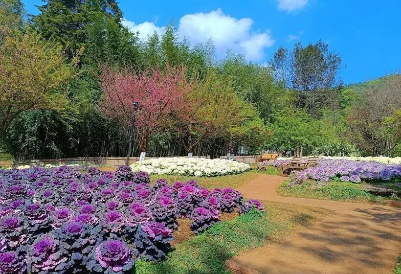 Majatalo Baan Aingdoi Homestay