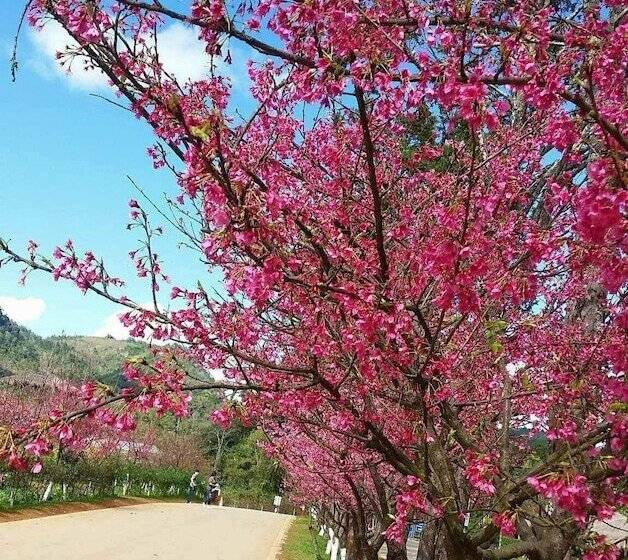 Panzió Baan Aingdoi Homestay