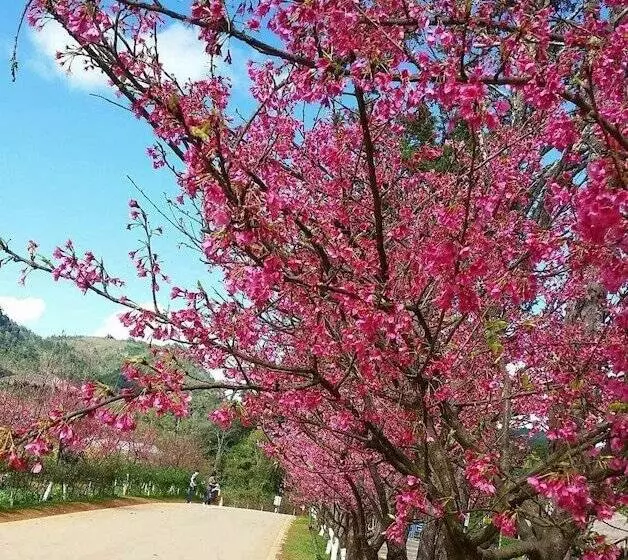 Majatalo Baan Aingdoi Homestay