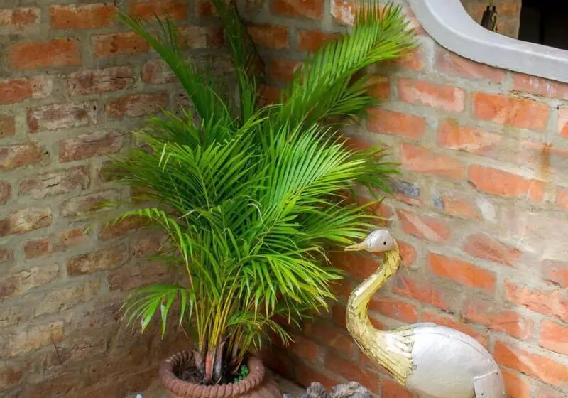 Majatalo Nguni Lodge