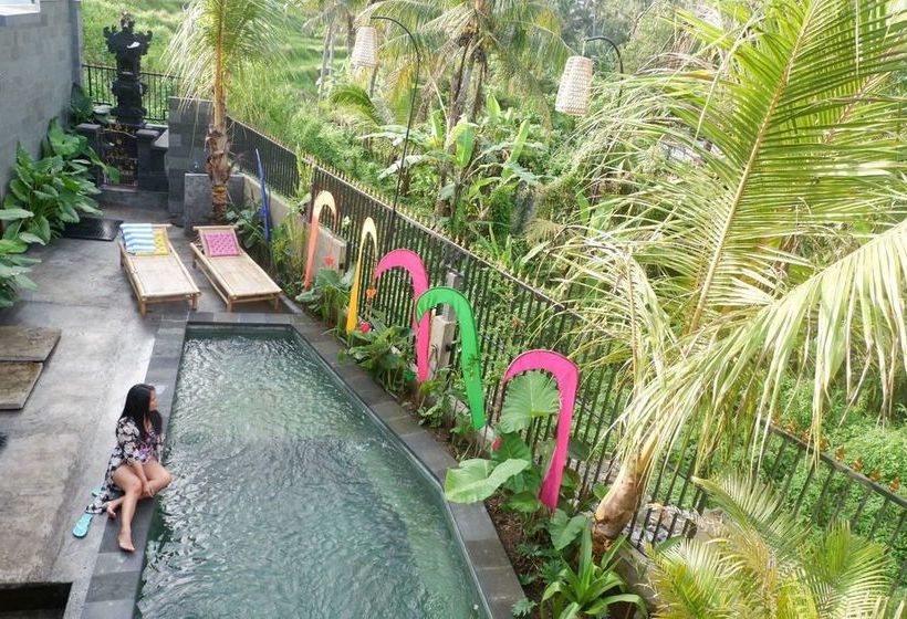 住宿加早餐  Canang Gardens