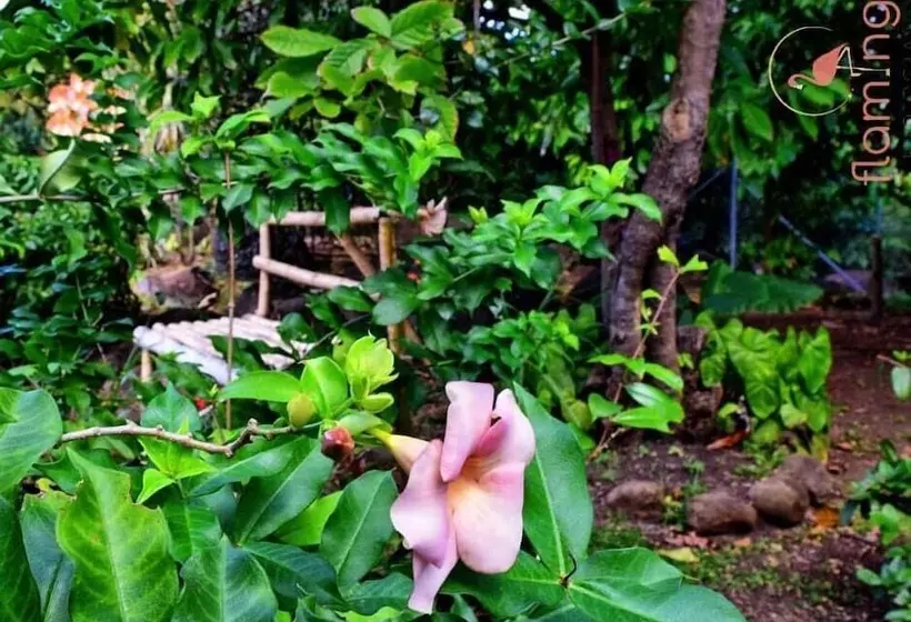 Clarenceville Villa Apartments