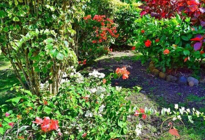 Clarenceville Villa Apartments