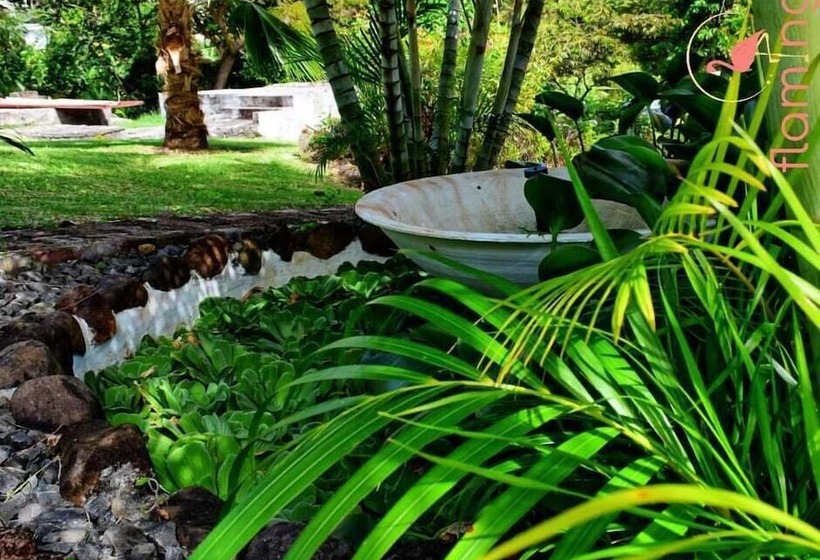 Clarenceville Villa Apartments