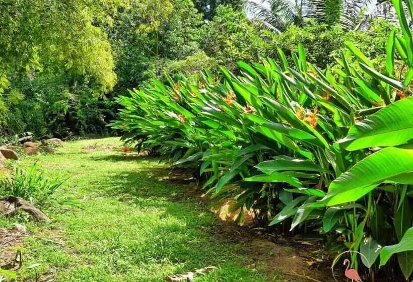 Clarenceville Villa Apartments