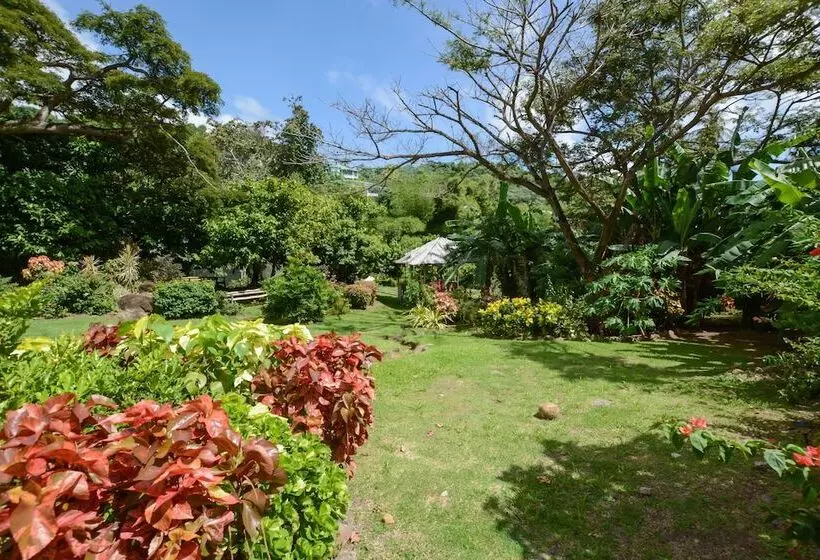 Clarenceville Villa Apartments