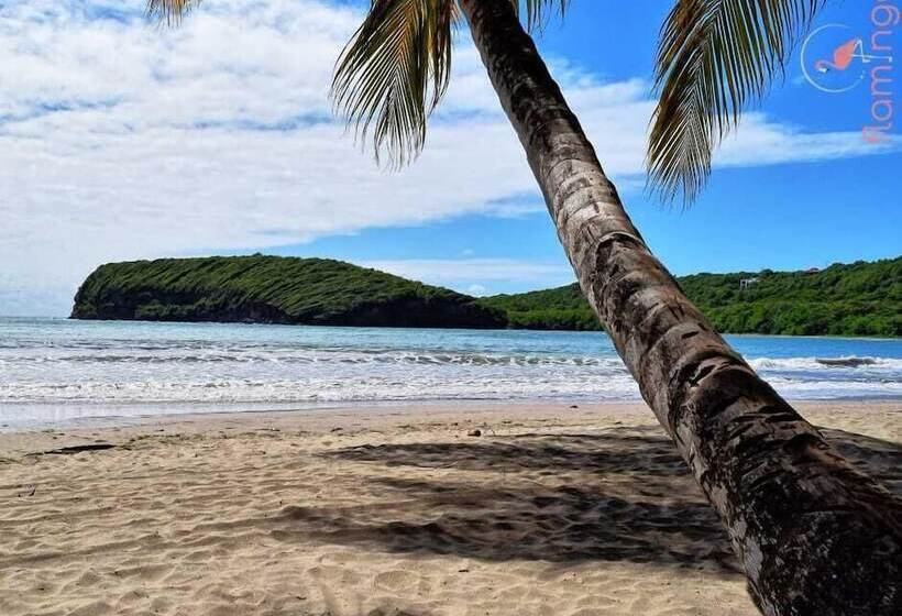 Clarenceville Villa Apartments