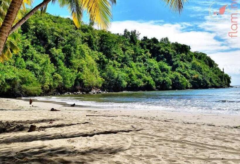 Clarenceville Villa Apartments