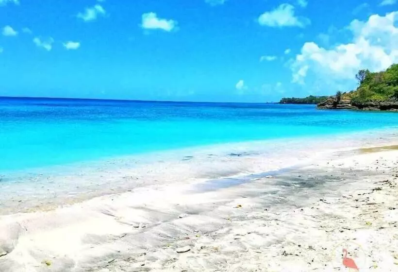 Clarenceville Villa Apartments