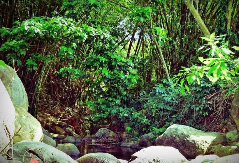 Clarenceville Villa Apartments