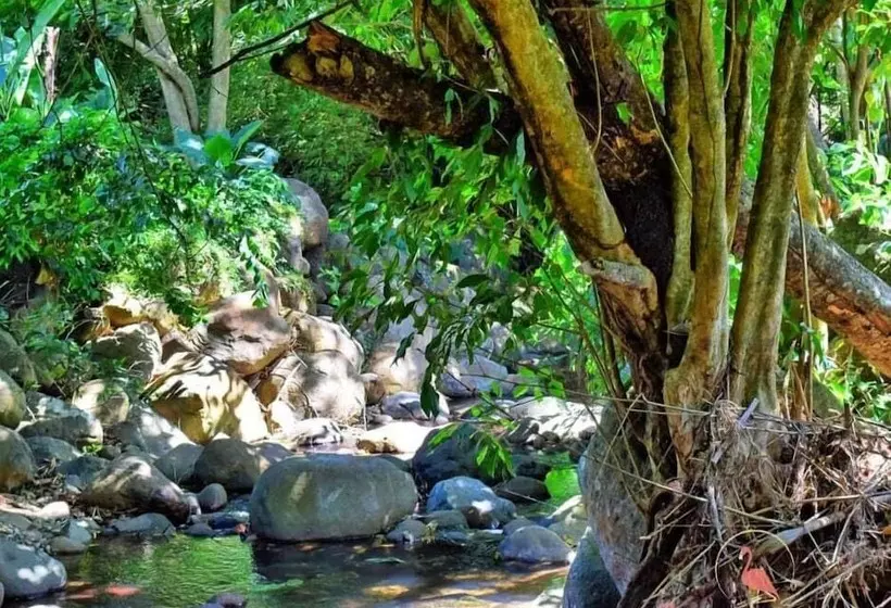 Clarenceville Villa Apartments