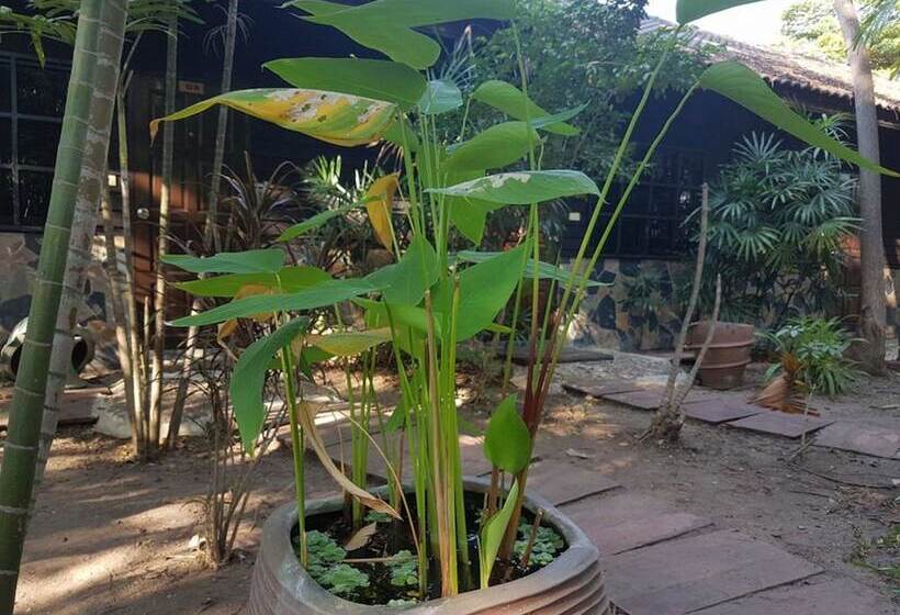 בית מלון כפרי Guest House Ratchaburi