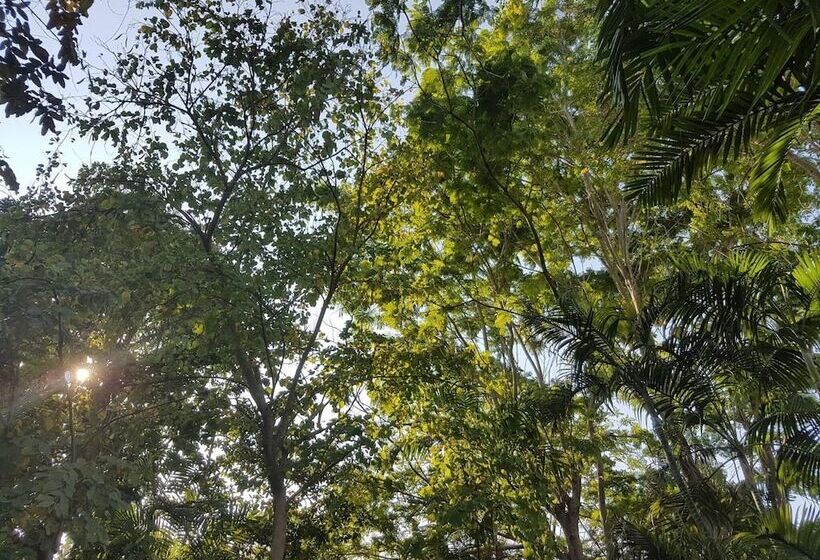 בית מלון כפרי Guest House Ratchaburi