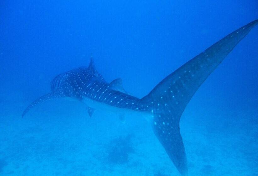 هتل La Cabana Maldives