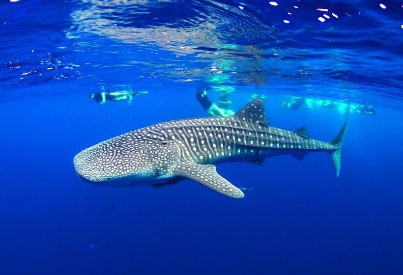 هتل La Cabana Maldives