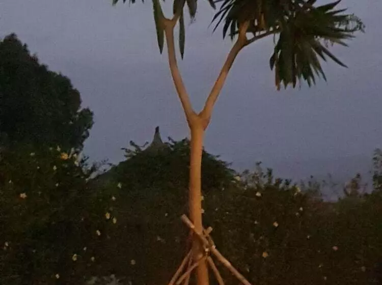 هتل Mayleko Lodge