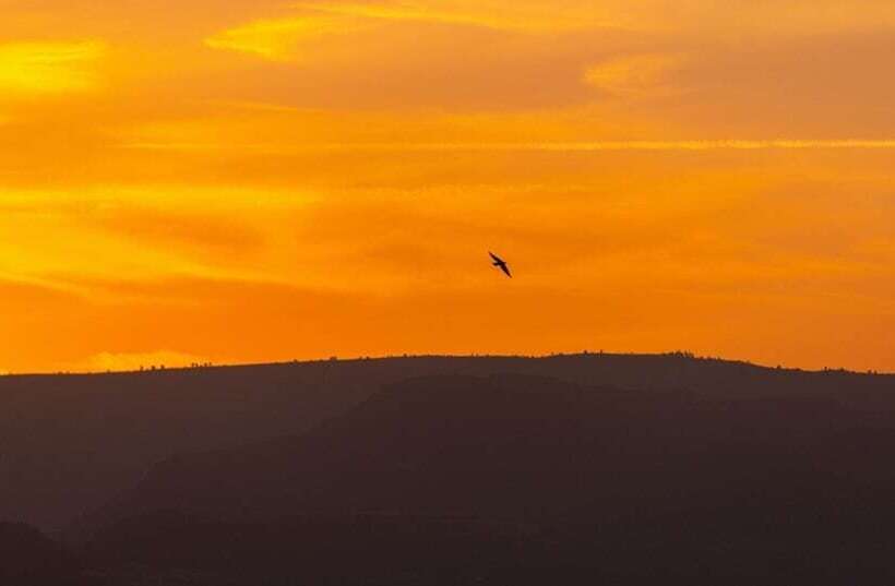 هتل Mayleko Lodge