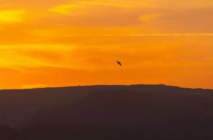 هتل Mayleko Lodge