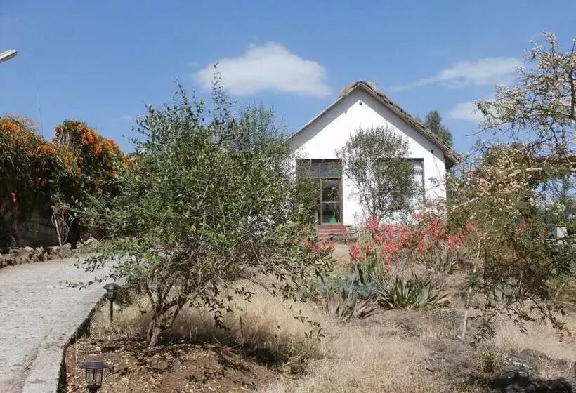 هتل Mayleko Lodge