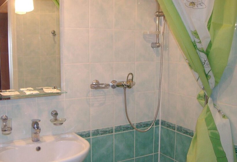 호텔 Pansionat Zvenigorodskiy