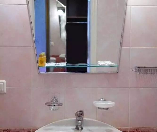 ホテル Pansionat Zvenigorodskiy