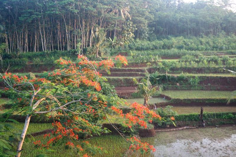 호텔 The Gecho Inn Country