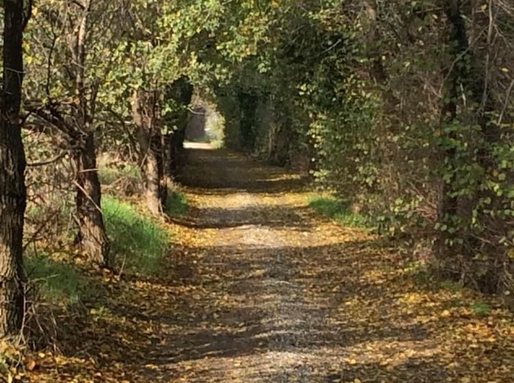 بنسيون Il Portico