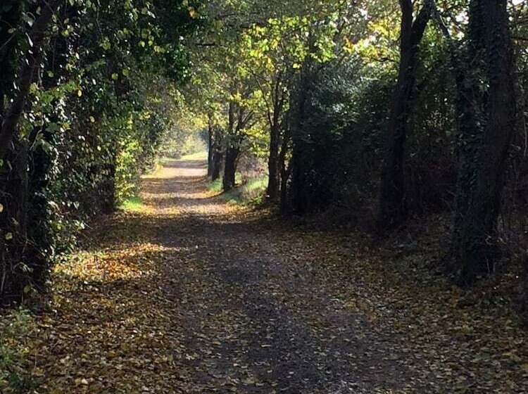 بنسيون Il Portico