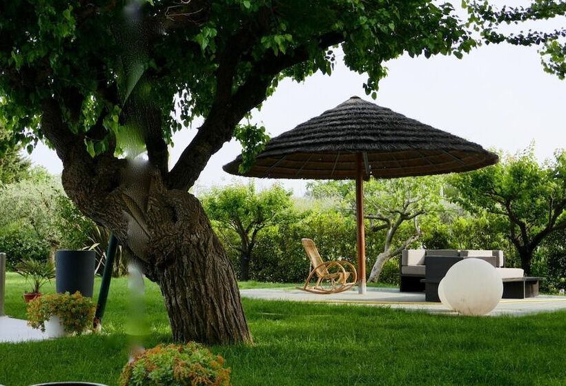 بنسيون Il Portico