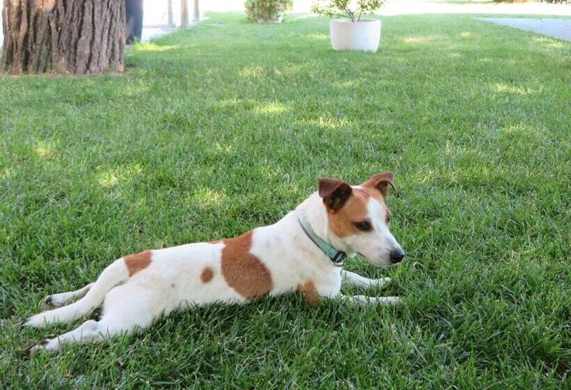 بنسيون Il Portico