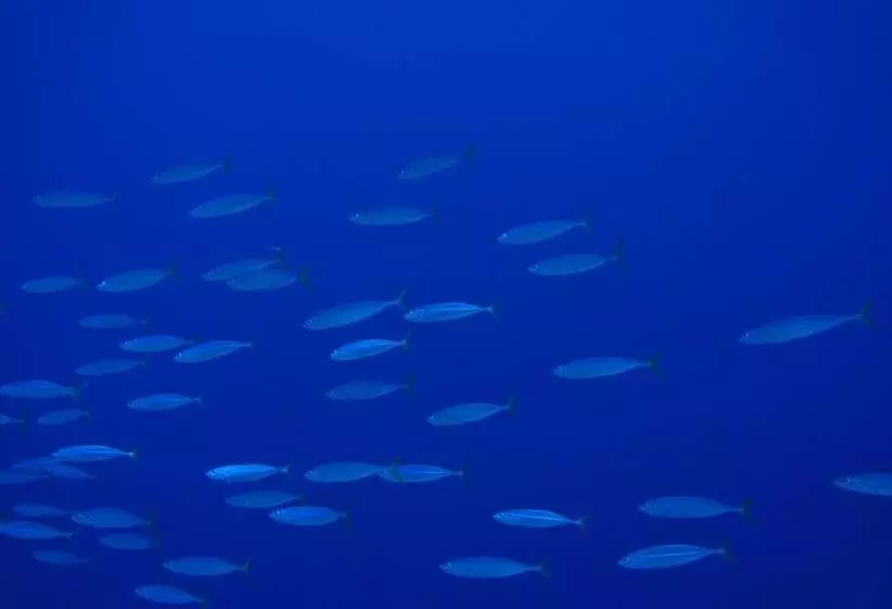 پانسیون Marina Boutique