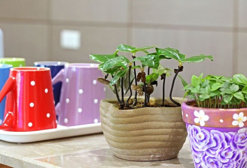 Yuan Bed And Breakfast