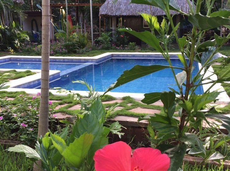 فندق Papaya Lodge Las Flores
