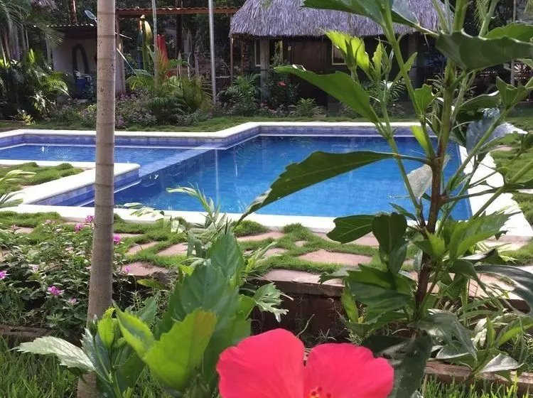 Hotelli Papaya Lodge Las Flores