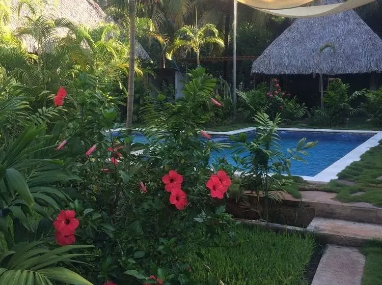 Hotelli Papaya Lodge Las Flores