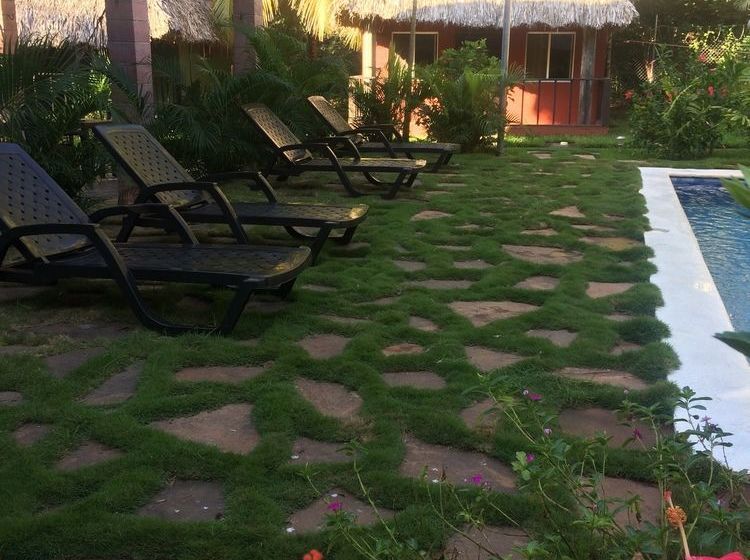 فندق Papaya Lodge Las Flores