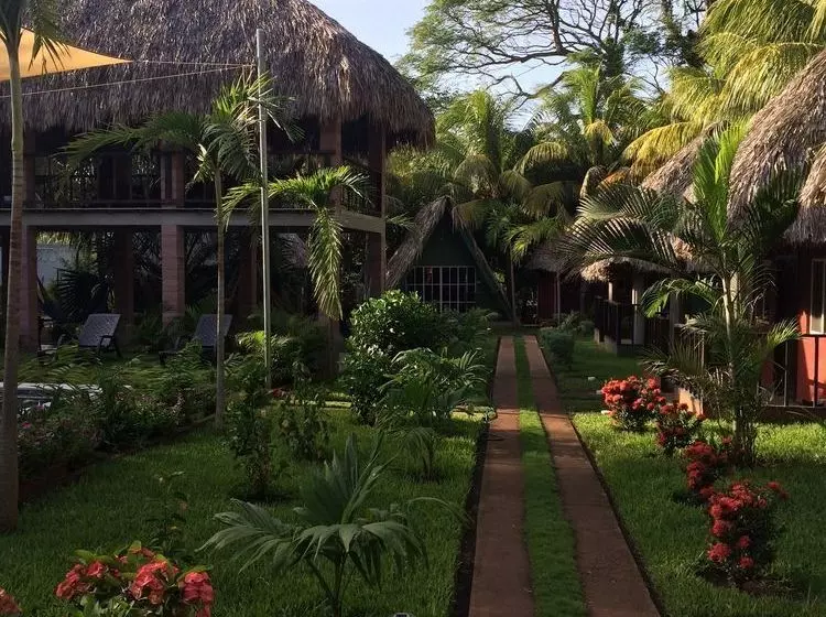 Hotelli Papaya Lodge Las Flores
