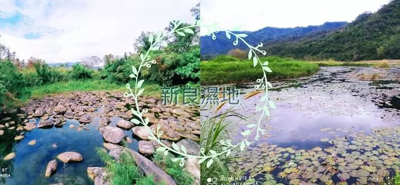 تختخواب و صبحانه Huadong Homestay