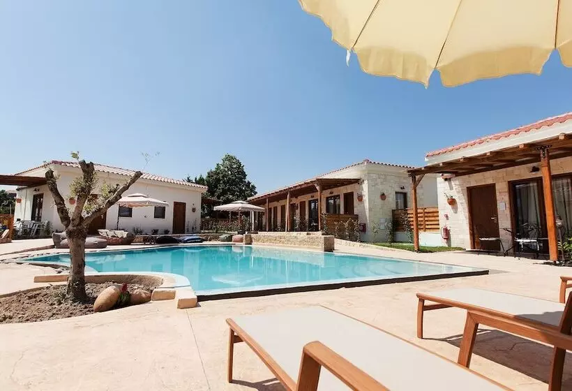 Casa Afytos   Adults Only